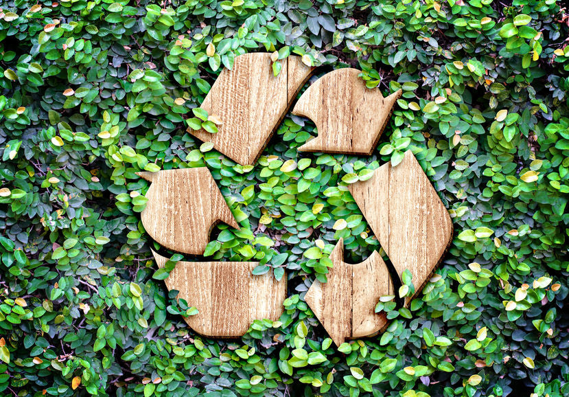 4 Simple Ways to Live More Sustainably