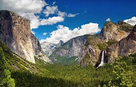The Yosemite Collection